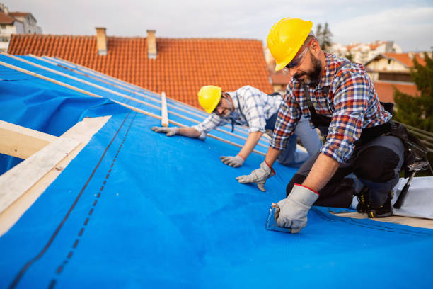Best Gutter Installation and Roofing  in Dublin, PA